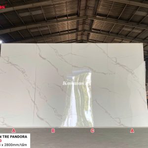 TẤM ỐP THAN TRE PANDORA – TT-830