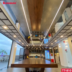 Tráng gương PET bạc TT-810