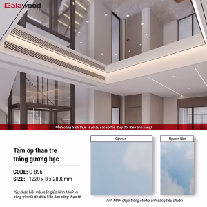 Tráng gương PET bạc G-896