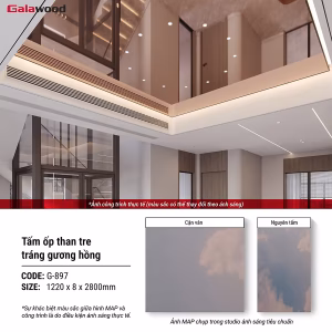 Tráng gương PET hồng G-897