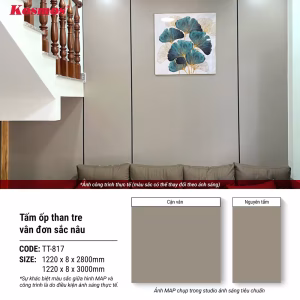 Đơn sắc nâu TT-817