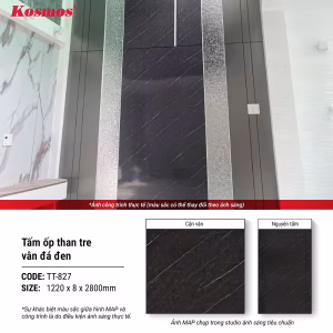 Vân đá đen TT-827