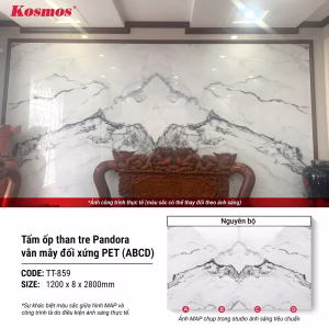 Tấm ốp Pandora PET TT-859