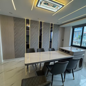 Tráng gương PET đen TT-811